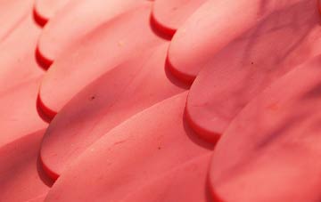 Dron plastic roof costs